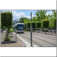 2017-07-11 T3 Jean Rostand 378 01.jpg